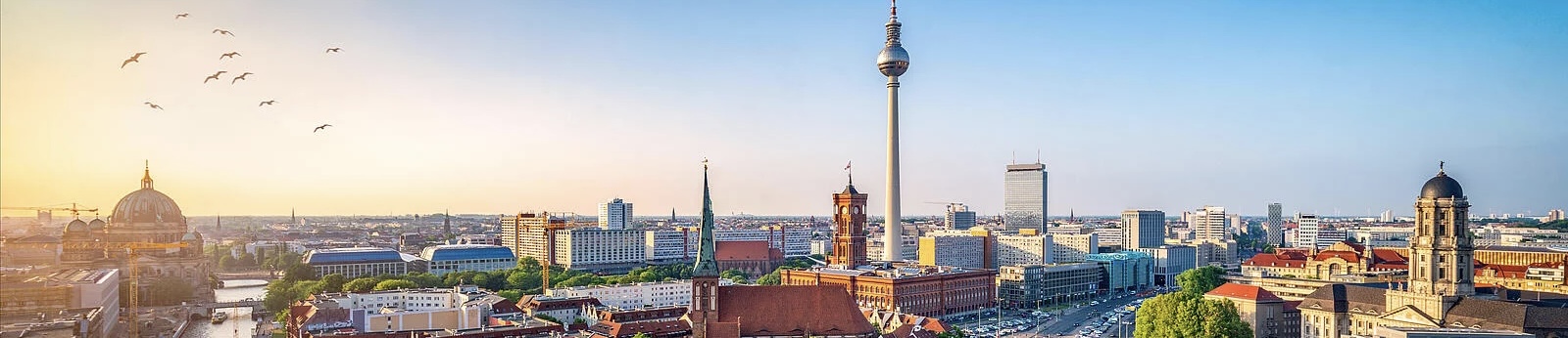 Bild vom Brandenburger Tor